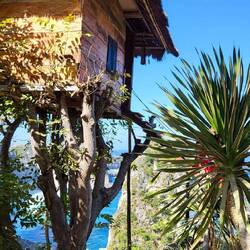 Das tolle "Tree House"