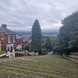 Loved these characterful steps which carried on from a cobblestone road next to the park