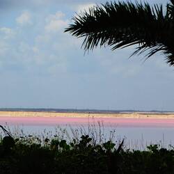 Pink lake of Las Coloradas