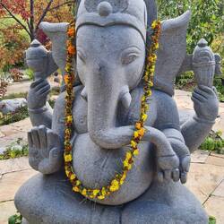 Ganesha im Zen-Garten