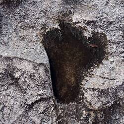 Dinosaurier Fußspuren