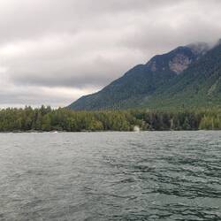 Wer sieht eine Fontäne?