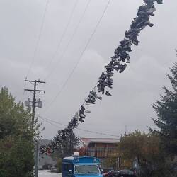 Hat wer Schuhe gesagt?