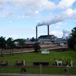 Die örtliche Zuckerrohrfabrik