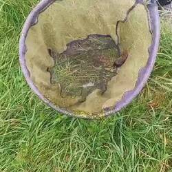 Setting off from Riley Green we managed to rescue this little mouse from the canal