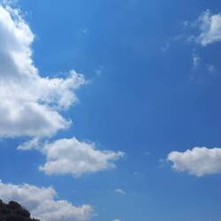 Nella nuvola, mi segue il mio rapace...