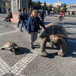 Les tortues sur la place de la Victoire