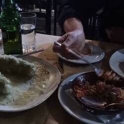 Zucchini mit würziger Reisfüllung (ähnlich wie gefüllte Weinblätter), Mousaka, Schafskäse