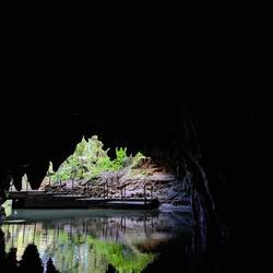Blick aus dem Waitomo Caves mit den Glühwürmern
