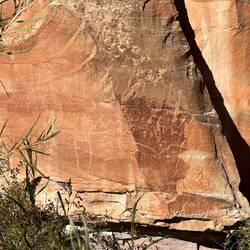 Petroglyphs