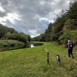 Auf eigenen Wegen....
