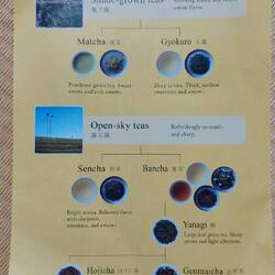 Different kinds, colours and flavours of Japanese green tea (all unfermented)