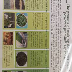 The process of making matcha