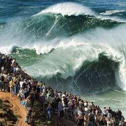 Das Bild ist nicht von uns 😉