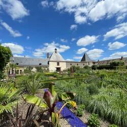 Orchideen und seltene Pflanzen beim Schloss Cheverny (2022)