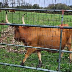 This guy did not want to pose for Gina