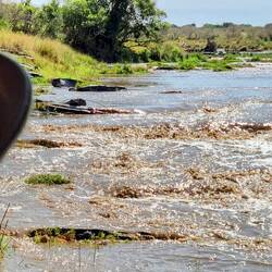 I'm surveying the situation. More water to cross!