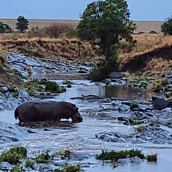 We crossed an area like this too.