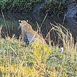 I think he sees something.