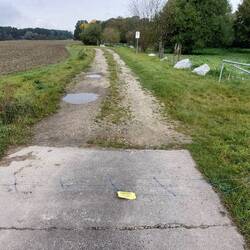 Frodo tritt auf den am Boden liegenden Elektrozaun!🙄