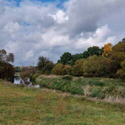 Unberührte Neiße Auen!