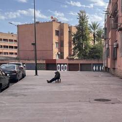 Pfusen kann man überrall 🤣