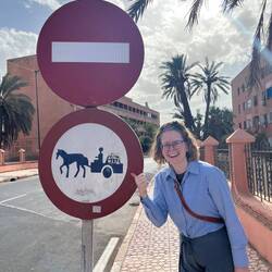 🫏- oder 🐴-Kutschen verboten!