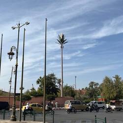 Chöntmer ihr 🇨🇭ou d'Fernsehmaste als Palme tarne?! 😉🤔🌴