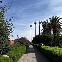 Fernsehmast inkognito 😉😅