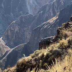 Wunderschön winer säglet🙌🏼