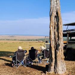 taking in the safari one last time