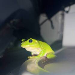 Our friend in the boat