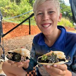 Planting succulents with Brax