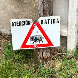 Warning regarding wild boar