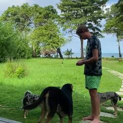 Matthias - der Löwenbändiger