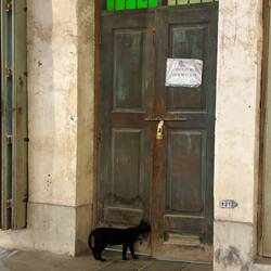 is here the entrance?