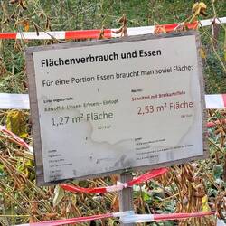 Flächenverbrauch Gemüsesuppe / Schnitzel