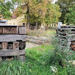 Wildbienen-Unterschlupf