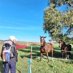 Ebenso furchtsam wie neugierig!