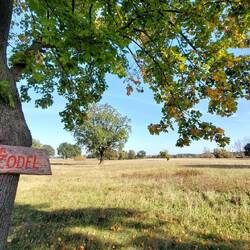 Freundliche Menschen die Zodeler!🙂