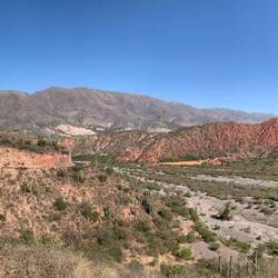 Plötzlich keine Kakteen mehr, fie Farben faszinieren.