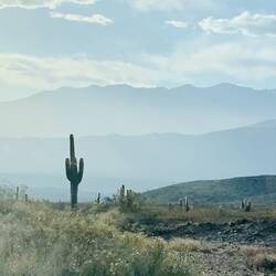 Die Weite auf über 3'000m versetzt un erneut in Staunen 😃