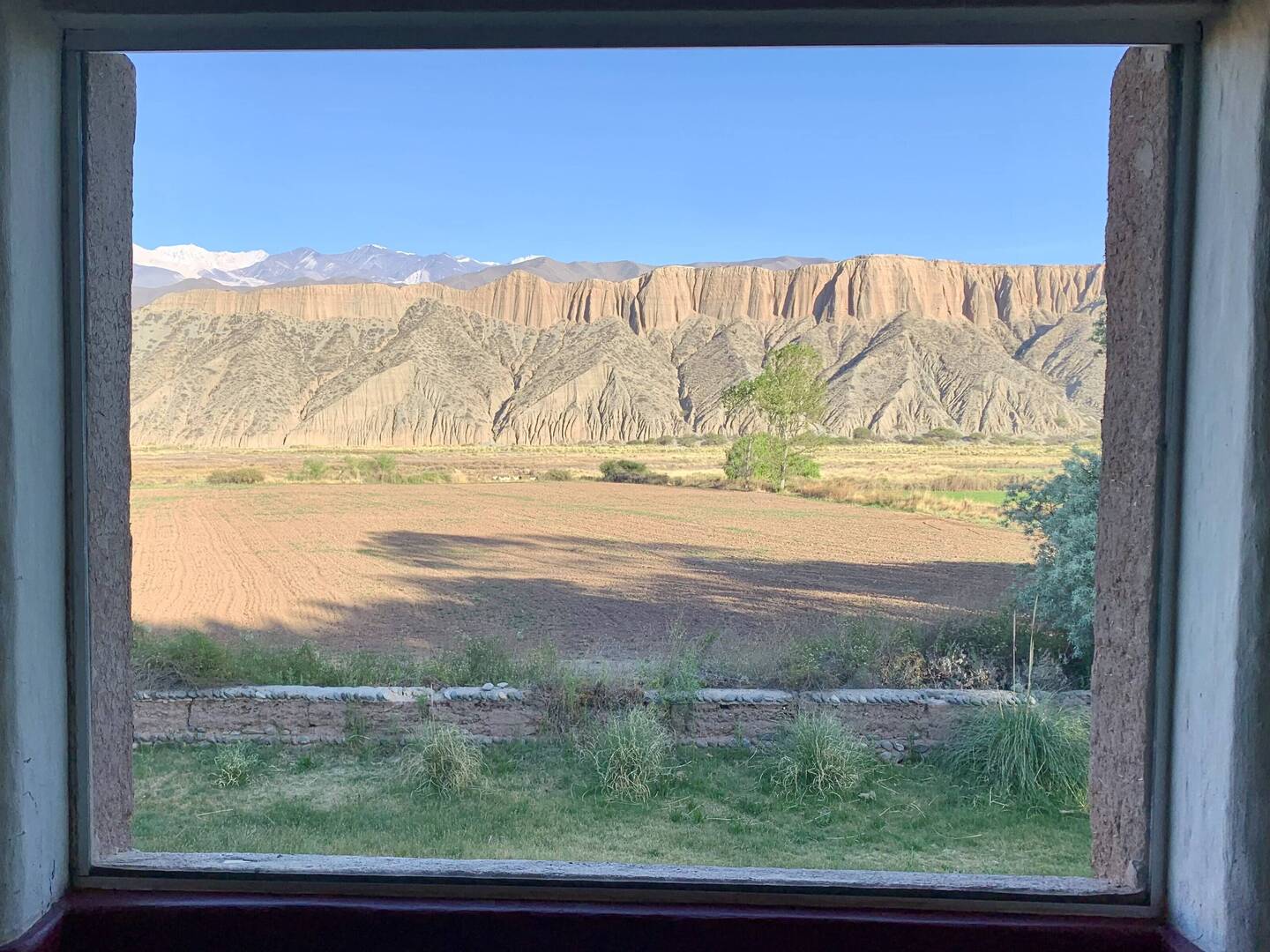 Blick aus einem der grossen Fenster im Frühstücksraum 😍