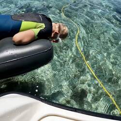 Who needs a glass bottom boat!