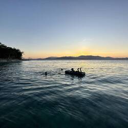 Swimming into the night