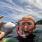 Egg cowrie