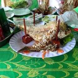 Elephant fish after we devoured it