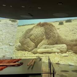 diese weichen Füsse 🥰 auch wenn elegant anders geht