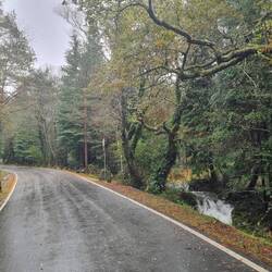 "Ballade en voiture" durch den Nationalpark...