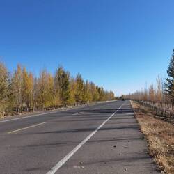 So langsam kommen die Herbstfarben